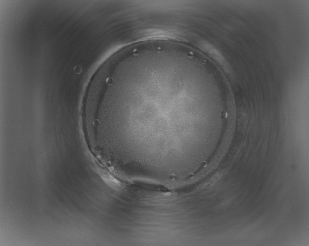 X0000073481427200607311149