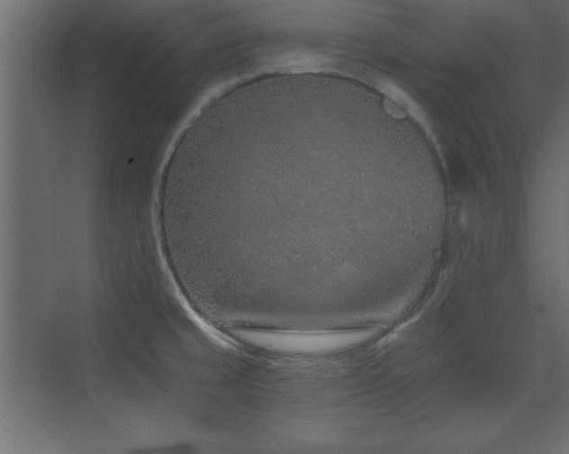 X0000073481429200607311149