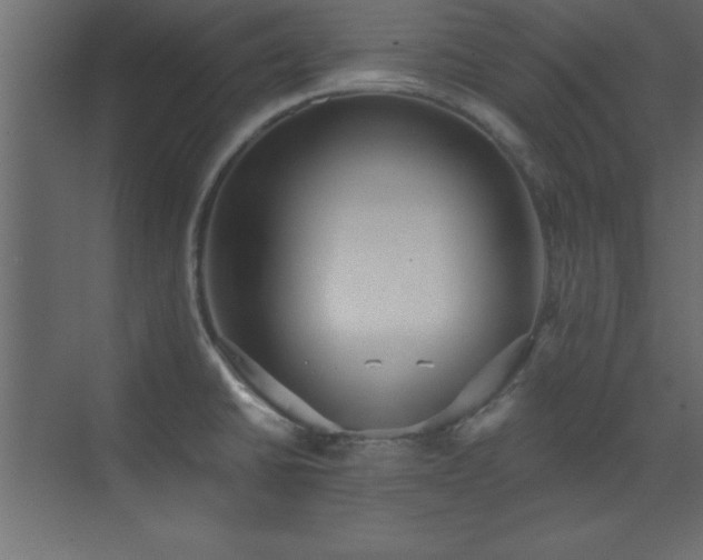 X0000073481430200607311149