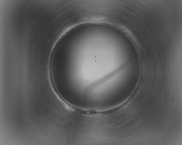 X0000073481432200607311149