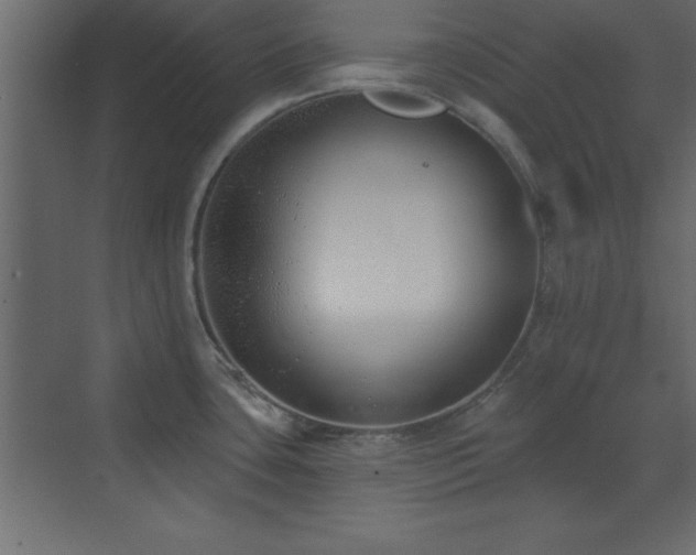 X0000073481435200607311149