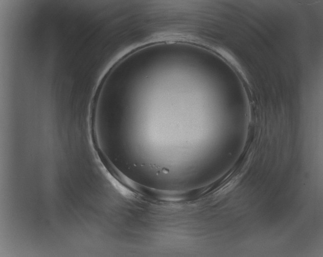 X0000073481438200607311149