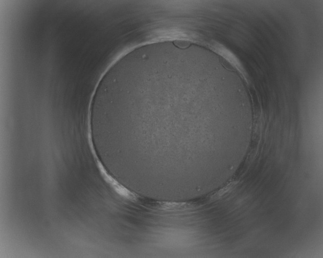 X0000073481439200607311149