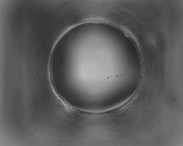 X0000073481440200607311149