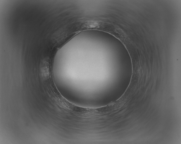 X0000073481442200607311148