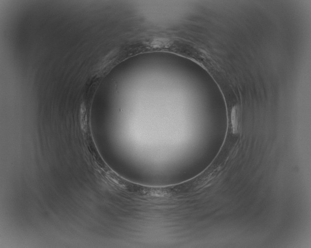 X0000073481443200607311148