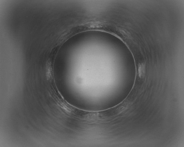 X0000073481444200607311148