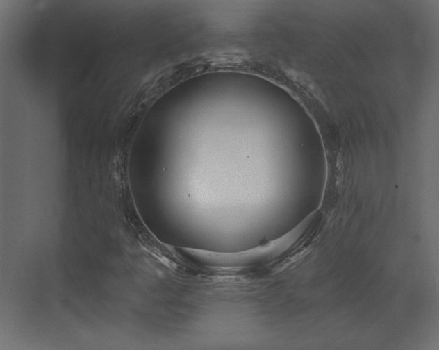 X0000073481445200607311148