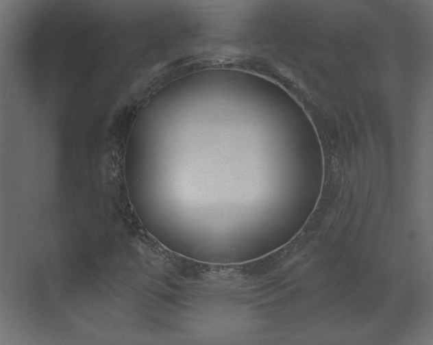 X0000073481447200607311148