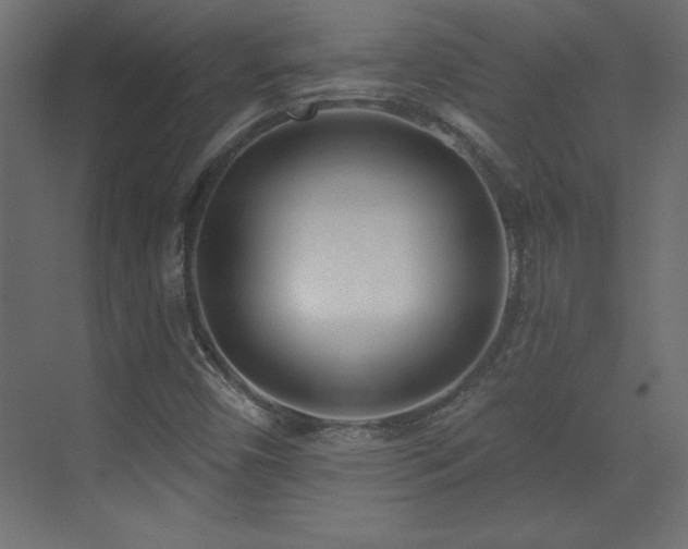 X0000073481450200607311148