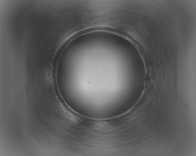 X0000073481452200607311148