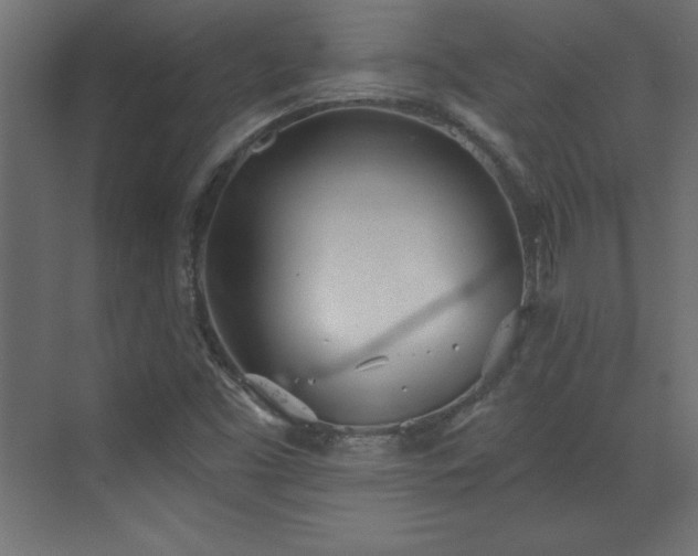 X0000073481453200607311148