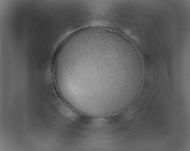 X0000073481454200607311148