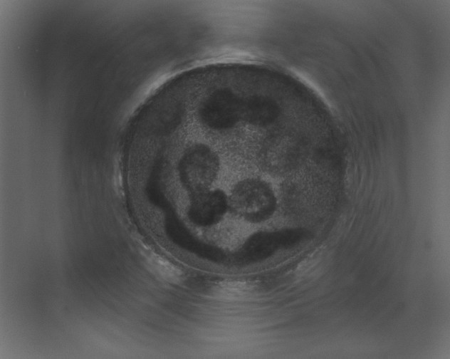 X0000073481455200607311148