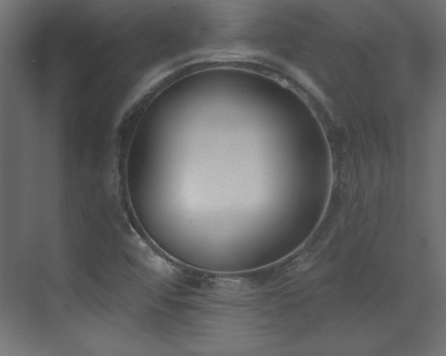 X0000073481456200607311148