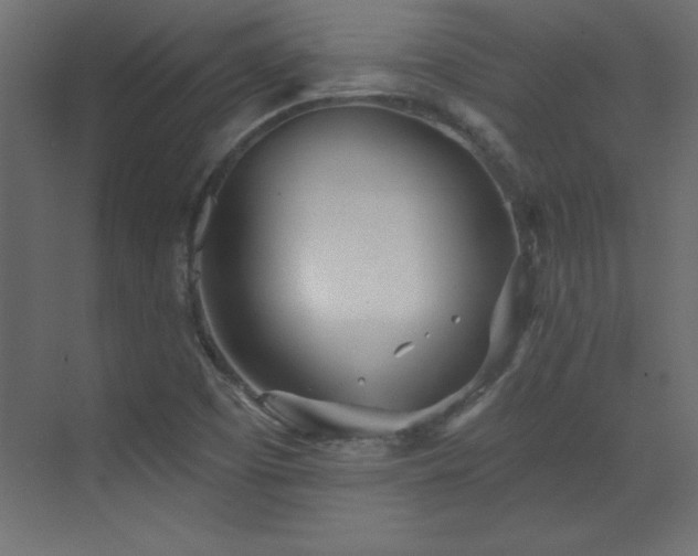 X0000073481457200607311148