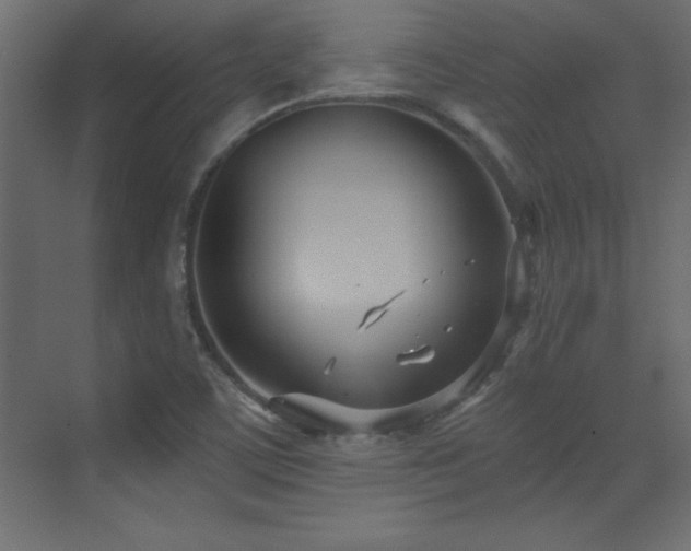 X0000073481459200607311148