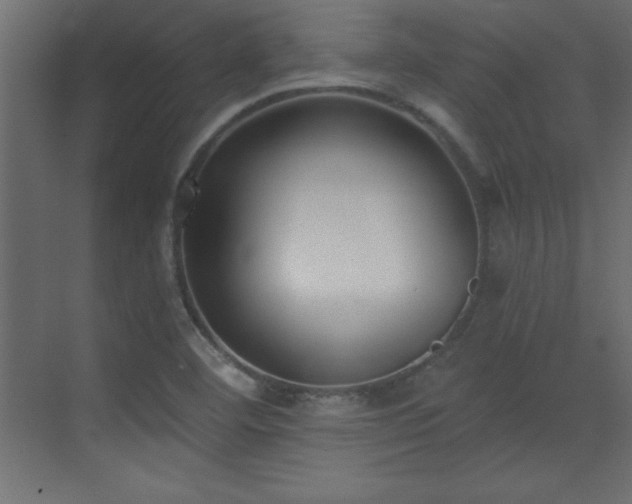 X0000073481460200607311148