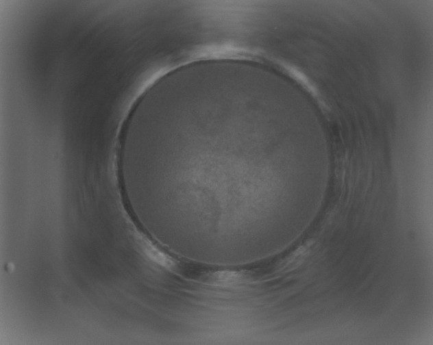 X0000073481463200607311148