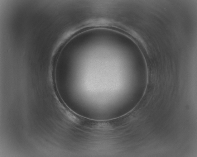 X0000073481464200607311148