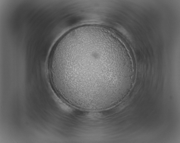 X0000073481466200607311148