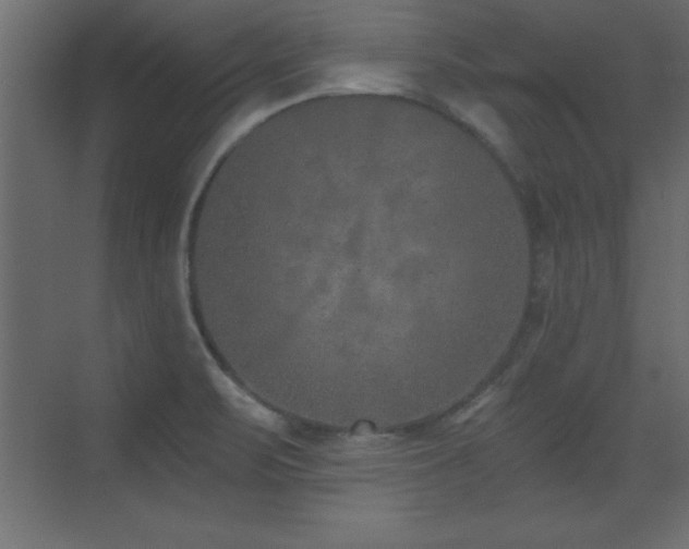 X0000073481471200607311148