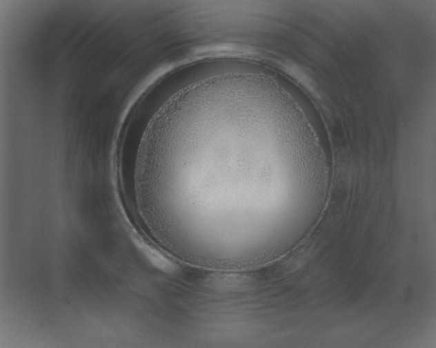 X0000073481474200607311148