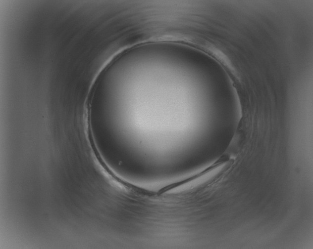 X0000073481476200607311148