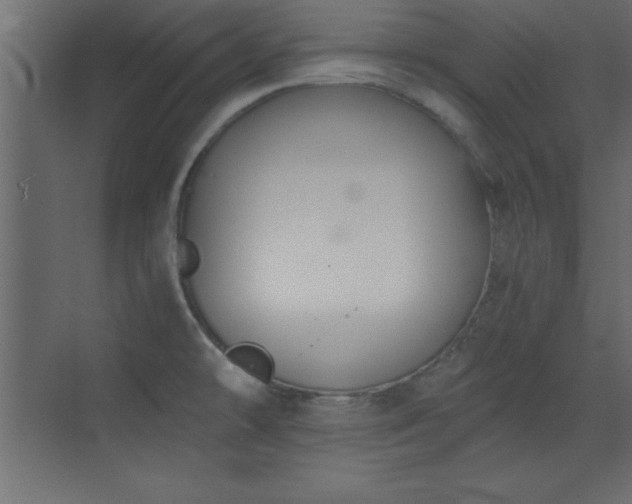 X0000073481478200607311148