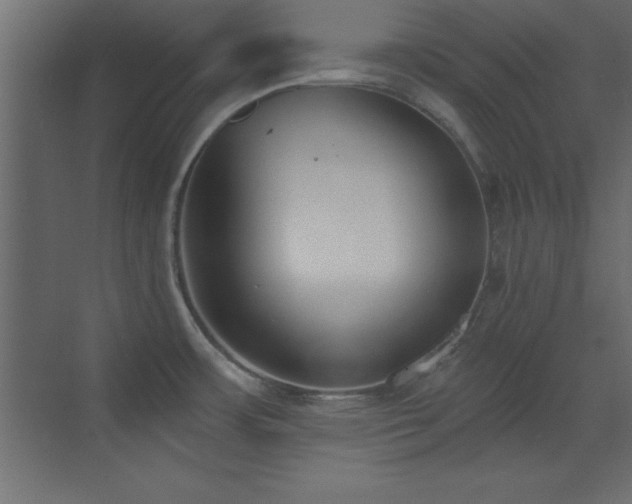 X0000073481483200607311147