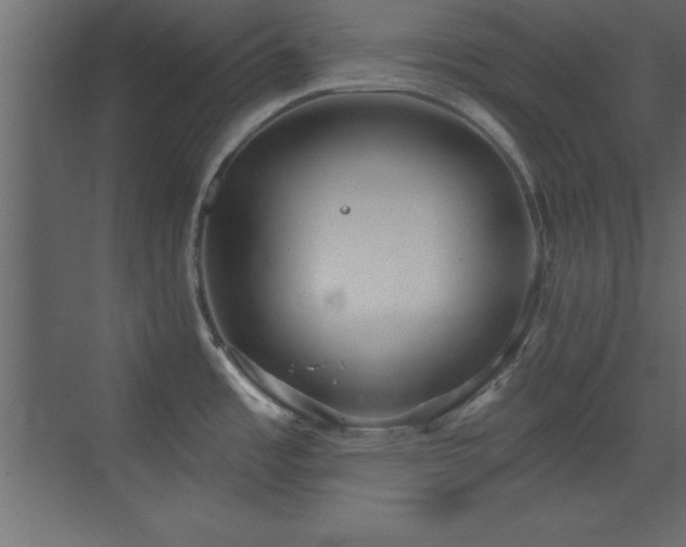 X0000073481485200607311147