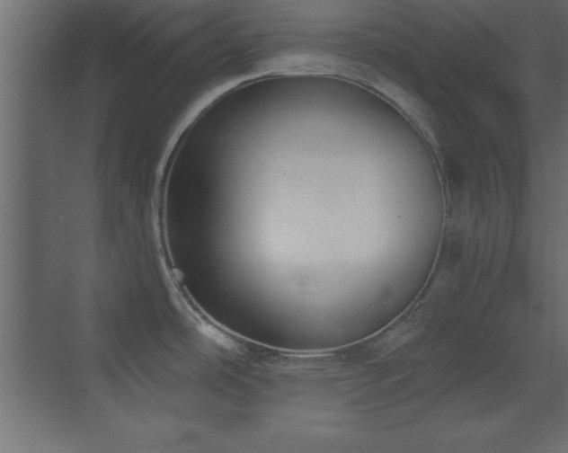 X0000073481486200607311147