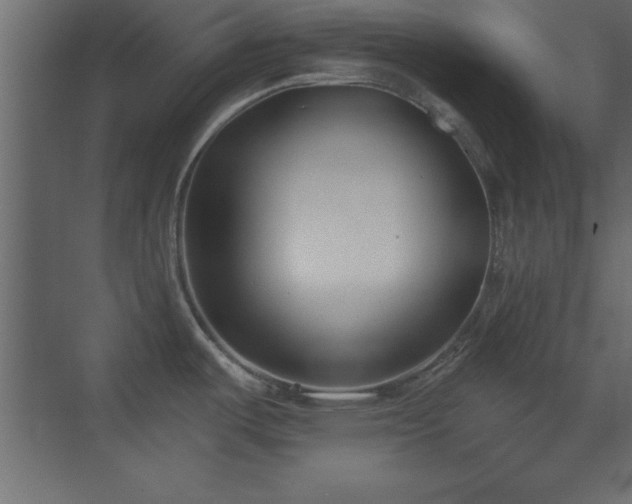 X0000073481487200607311147