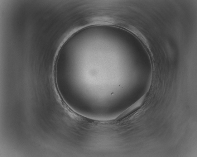 X0000073481488200607311147