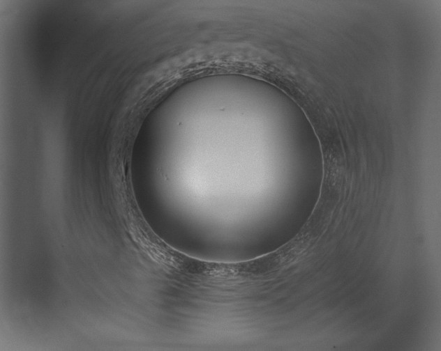 X0000073481489200607311147