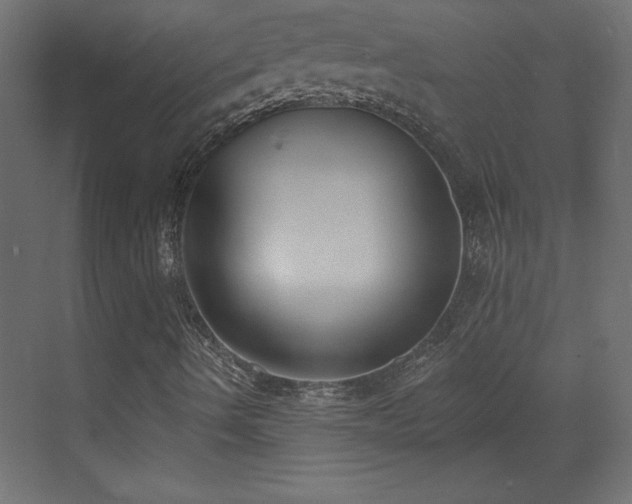 X0000073481490200607311147