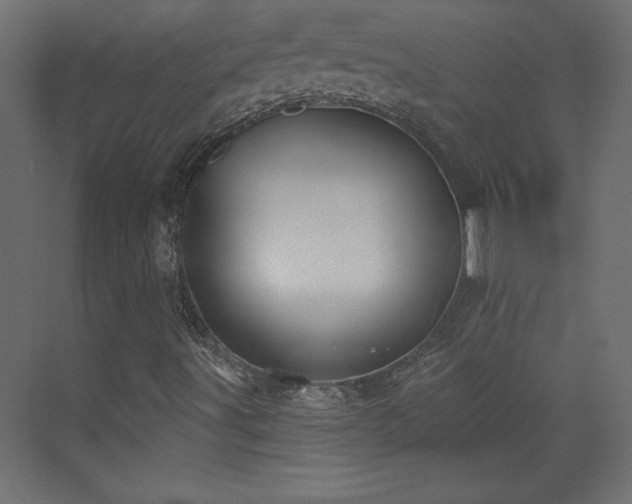 X0000073481491200607311147