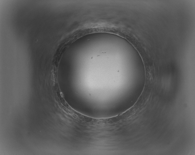 X0000073481493200607311147