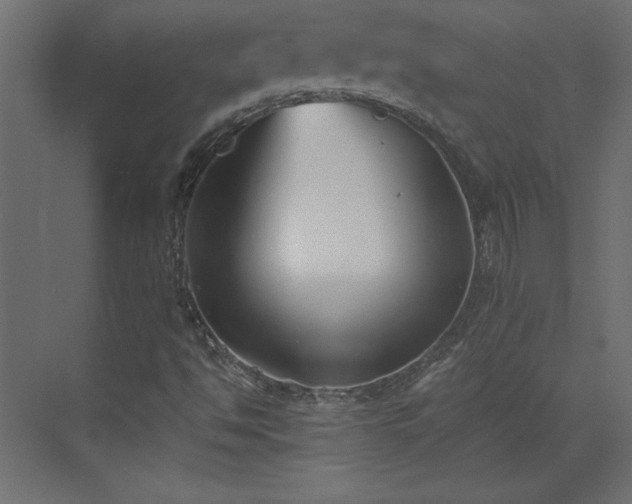 X0000073481494200607311147