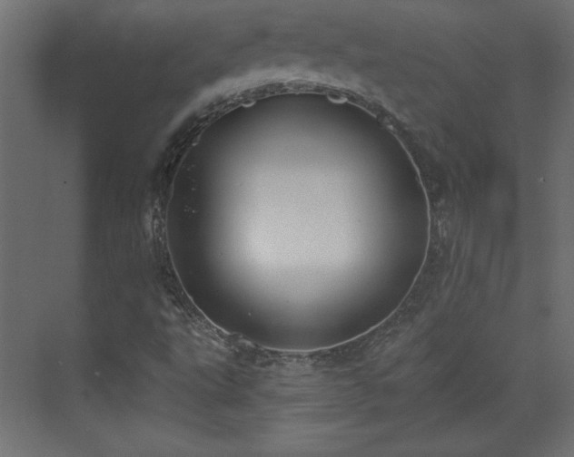 X0000073481495200607311147