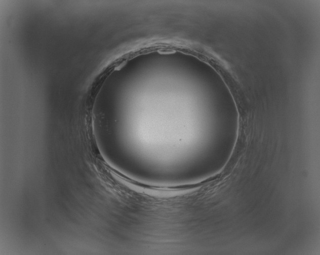 X0000073481496200607311147