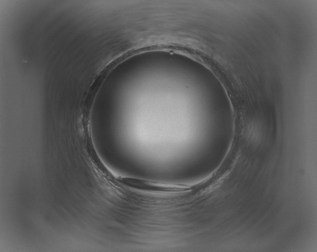 X0000073481497200607311147