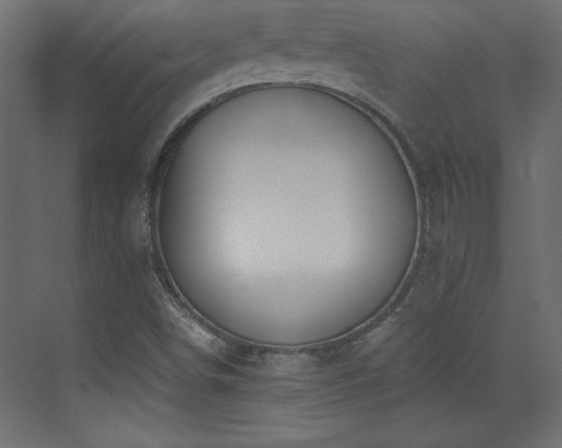 X0000073481498200607311147