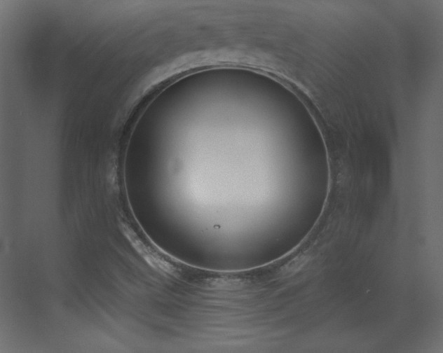 X0000073481499200607311147