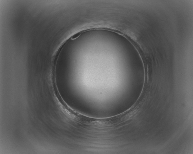 X0000073481500200607311147