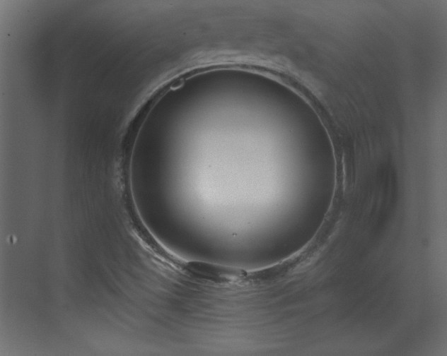 X0000073481501200607311147