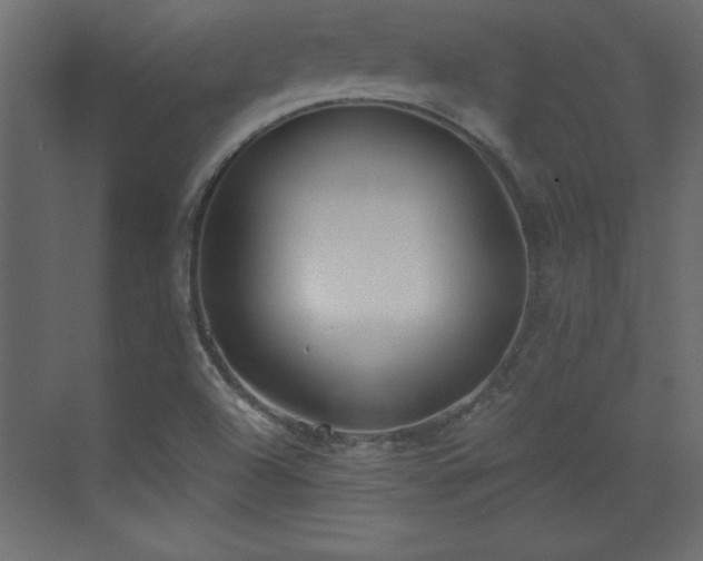 X0000073481504200607311147