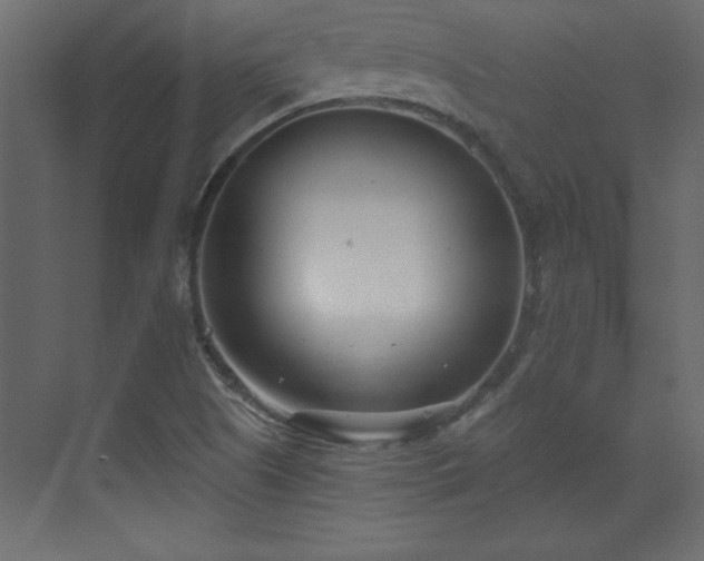 X0000073481505200607311147