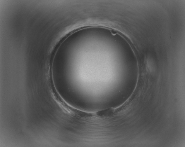 X0000073481507200607311147