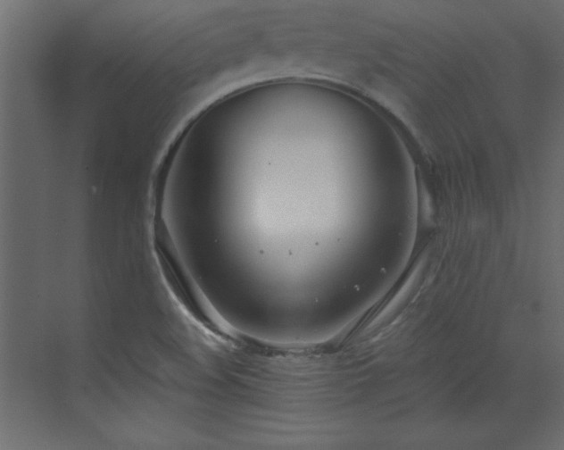 X0000073481508200607311147